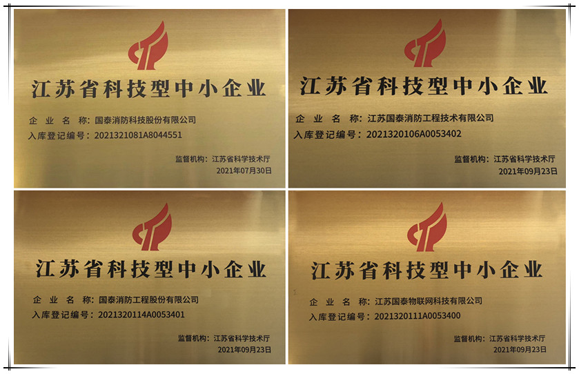 喜訊！國泰集團下屬多家公司獲“科技型中小企業(yè)”認定